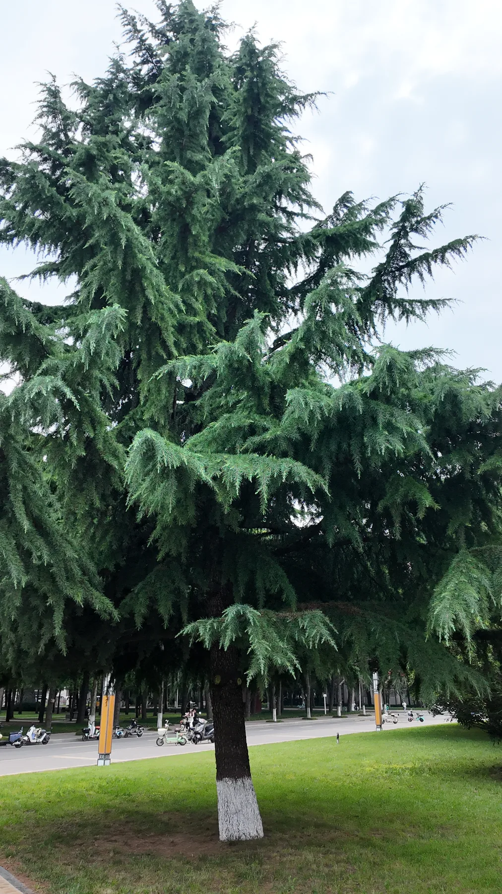 第二章：同框纪念航拍照片 060