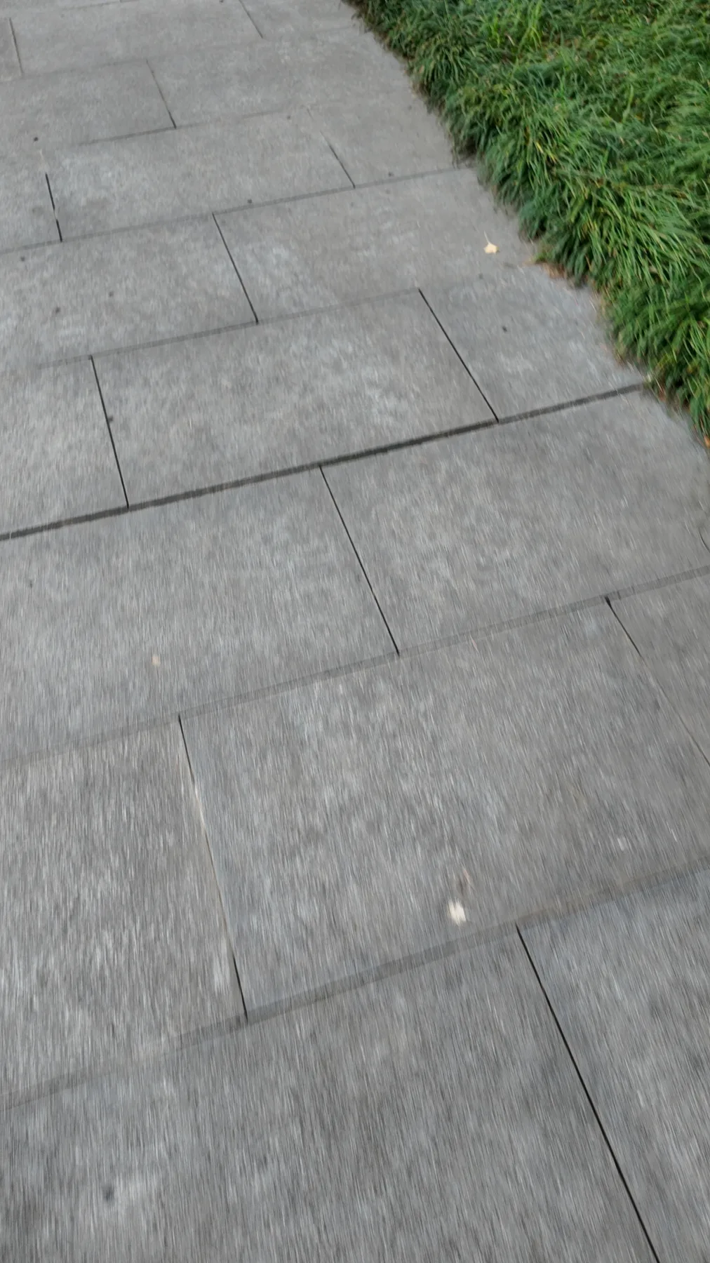 第二章：同框纪念航拍照片 067