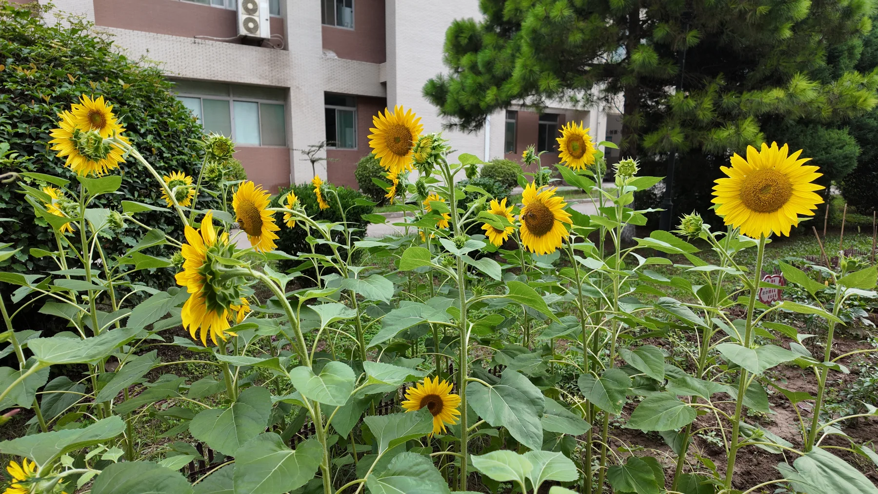 第二章：同框纪念航拍照片 071