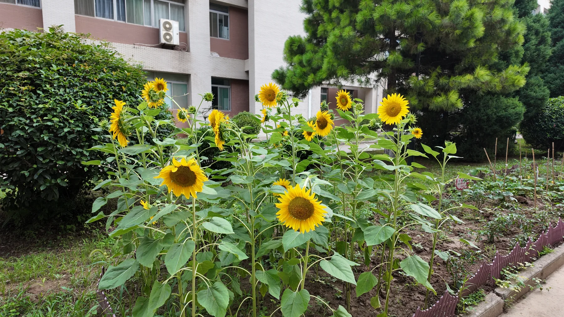 第二章：同框纪念航拍照片 072